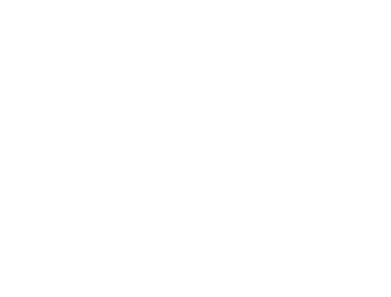 Panglao Waters